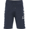 Hummel HMLRAY 2.0 SHORTS Athletic Navy
