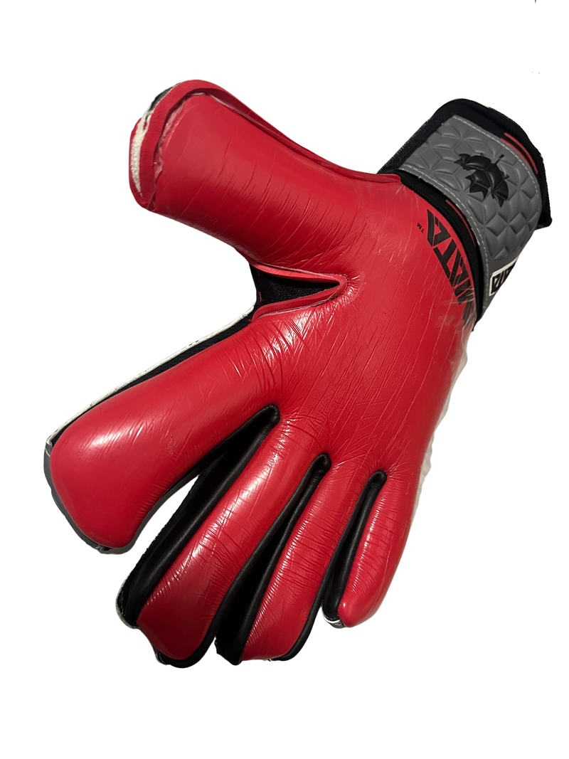 Aviata Viper True North Limited Edition Goalkeeper Gloves